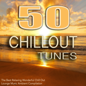50 Chillout Tunes - The Best Relaxing Wonderful Chill Out Lounge Music Ambient Compilation 2014 - Chill Out