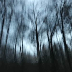 Komorebi - Single