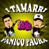 Panico Paura (Radio Edit) artwork