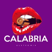 Calabria (Aleteo  Mix) artwork