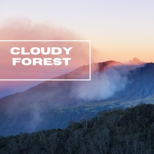 Cloudy Forest - EP