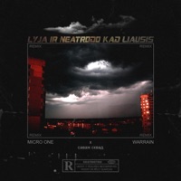 LYJA IR NEATRODO KAD LIAUSIS (feat. Micro One) [Warrain Remix] [Warrain Remix] - Single - Warrain
