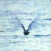 RYO FUKUI - Horizon