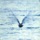 Ryo Fukui-Mellow Dream