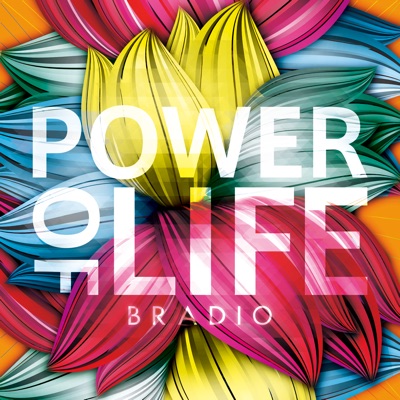 Flyers Bradio Shazam