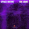 Stream & download The Joint - Single