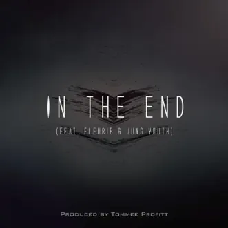 In the End (feat. Fleurie & Jung Youth) by Tommee Profitt song reviws