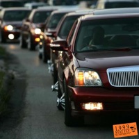 Stay Fly - Single - 1.9.9.9