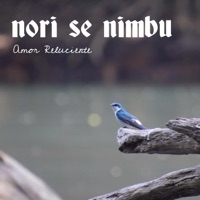 Nori se nimbu - Single - Amor Reluciente