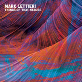 Things of That Nature - Mark Lettieri