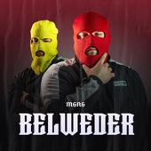 BELWEDER (omamale) artwork