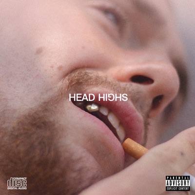Head Highs (feat. jarjarjr) - Single