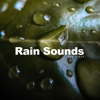 Thunder & Rain - Sleep, Study, Focus