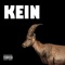 Kein Bock (feat. Haschio) - Gilberton lyrics