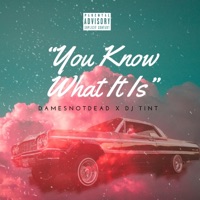 You Know What It Is - Single - DamesNotDead & Dj Tint