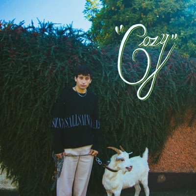 Cozy - Single