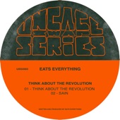 Think About the Revolution artwork