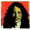 Nearly Forgot My Broken Heart - Chris Cornell