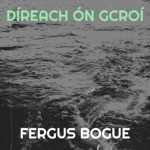 Fergus Bogue - Roaring Mary / Jig in a Jigs