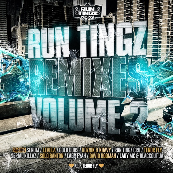 Run Tingz Remixes, Vol. 2 - EP