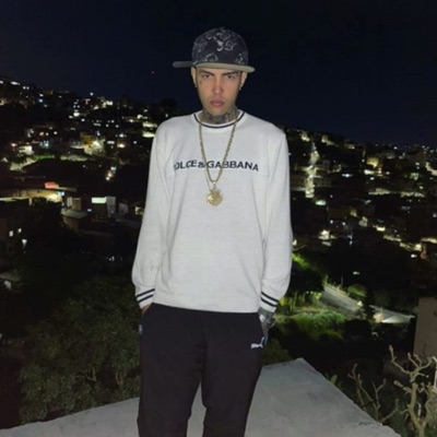 Mega Criminosa 001 (feat. Dj Gordão Do Pc) - Single