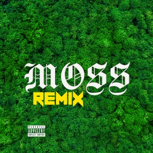 Moss (feat. Suicideyear) [Remix]