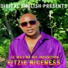 It Was'nt My Intention (Digital English Presents) - Single