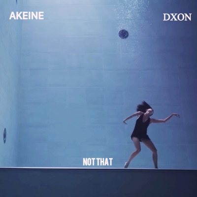 Not That (feat. Akeine) - Single