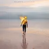 Polaris - Vagabond