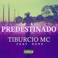 Predestinado (feat. Nene) - Single - Tibúrcio