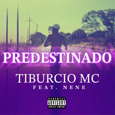 Predestinado (feat. Nene) - Single
