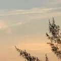 Clear Horizon