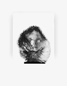 Escucha a DVRKNIKKA, mira videos musicales, lee su biografía, consulta las fechas de las gira y más.