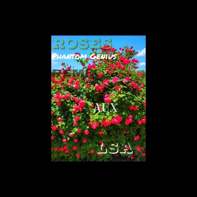 Roses (feat. Aux & Phantom Genius) - Single