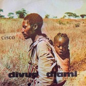 Cisco - Divua Diami