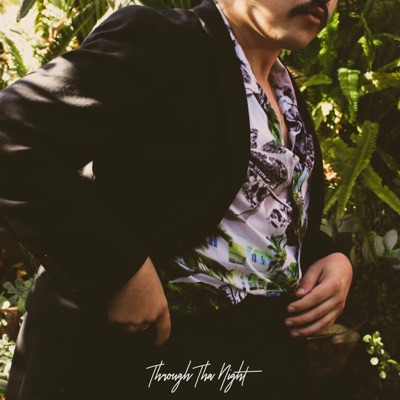Through Tha Night - Single