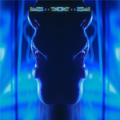 Toxic (feat. Toniezlytomek) - Single