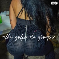Velho Golpe Da Groupie - Single - Delarima