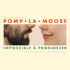 Comment Te Dire Adieu - Pomplamoose