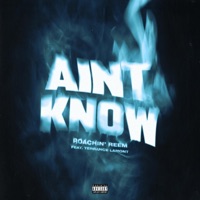 Ain't Know (feat. Terrance Lamont) - Single - Roachin' Reem