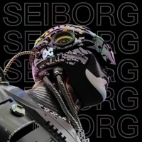 BUY the DIP (feat. KROWN CHAKRA) [LS REMiX] [LS REMiX] - Single - LORD SEIBORG