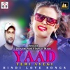 Yaad Teri Ayegi - Single