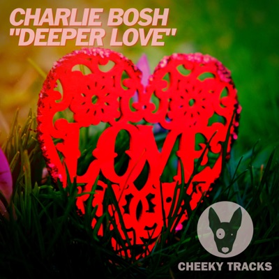 Deeper Love - Single