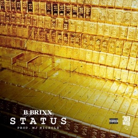 Status B.Brixx