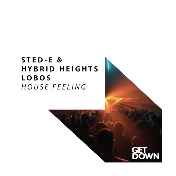 House Feeling - Single