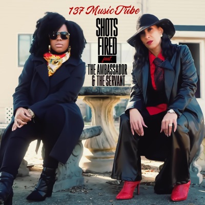 Shots Fired (feat. The Ambassador & the Servant) - Single
