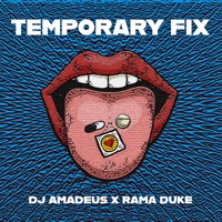 DJ Amadeus & Rama Duke - Temporary Fix (Extended Mix)