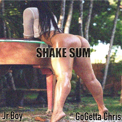 Shake Sum (feat. GoGetta Chris) - Single