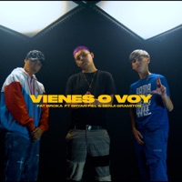 Vienes o Voy (feat. Brayan fiel & Benji Gramitos) - Single - Fat Broka