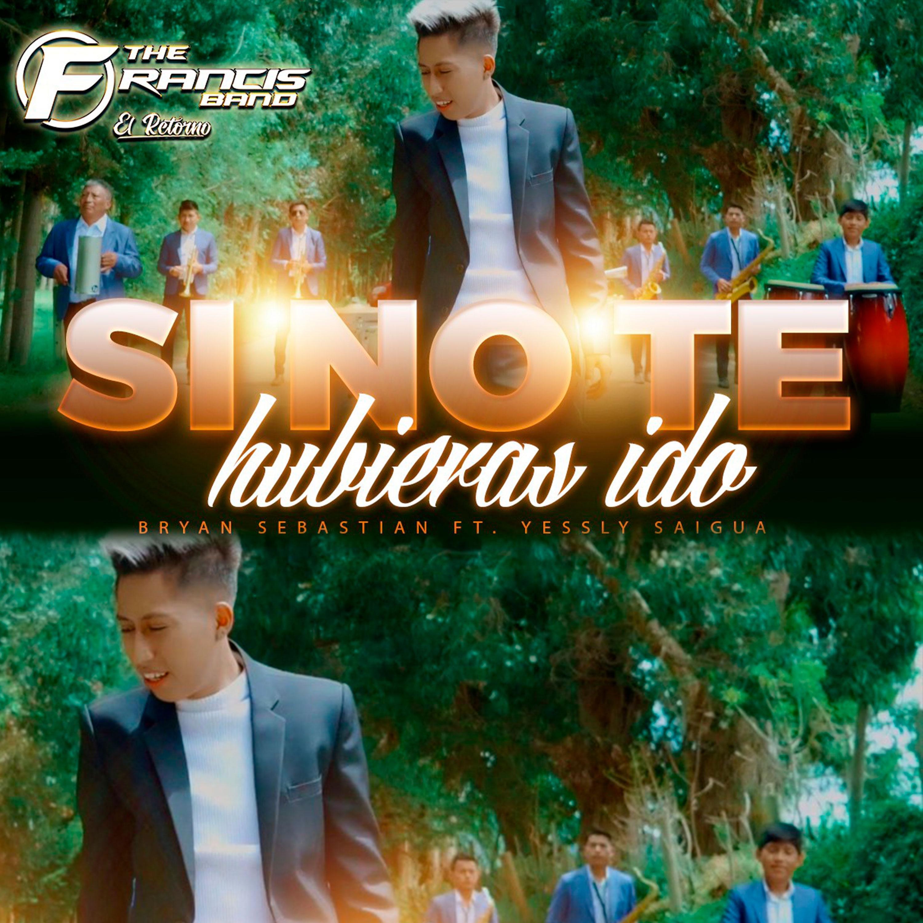 Si no te hubieras ido - Single